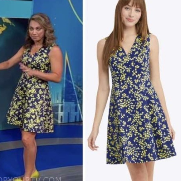 Draper James Love Circle Swing Dress Cherry Blossom Blue Yellow Plus Size 22 B - Picture 2 of 13